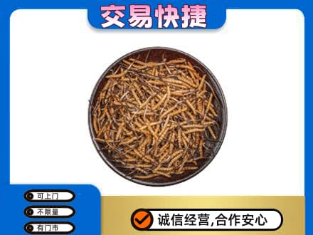 曲靖市富源回收散虫草
